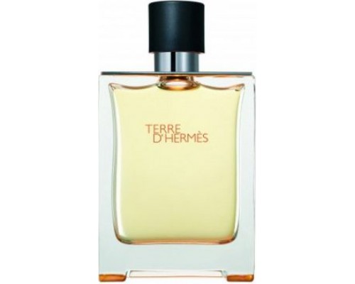 Hermès Terre d'Hermes EDT 100 ml