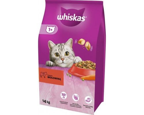 Whiskas Adult Sucha karma dla dorosłego kota z wołowiną 14kg