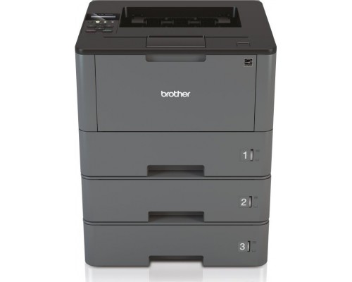 Brother HL-L5100DNTT (HLL5100DNTTG2)