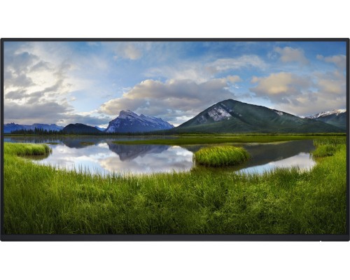 Dell P2425H (210-BMTB) bez podstawy