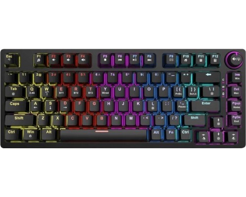 Savio Phenix Gateron Yellow Pro