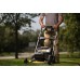   Dewalt DCMWP134W2-QW