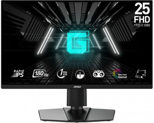MSI G255PF E2