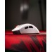 Marvo Monka Rapid (G982W)