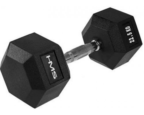 HMS Hex Pro rubberized 1 x 22.5 kg
