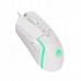 Marvo Capo 20  (M292 WH)