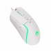 Marvo Capo 20  (M292 WH)