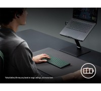 Razer Joro  (RZ03-02360100-R3M1)