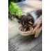 Josera Mini Junior Duck&Salmon 900g
