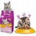 WHISKAS Sucha chicken 14kg