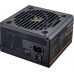 Cougar GR 750W ATX3.1/ PCIE 5.1/ 80 Plus Gold