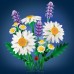 LEGO Botanicals Stokrotki (11508)