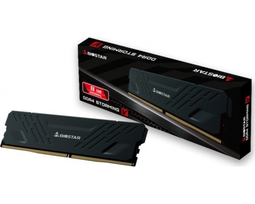 Biostar Storming V, DDR4, 8 GB, 3200MHz, CL16 (PAMBIODR40005)