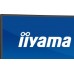 iiyama ProLite XCB4594DQSU-B1