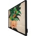 Philips D-Line 32BDL4511D/00