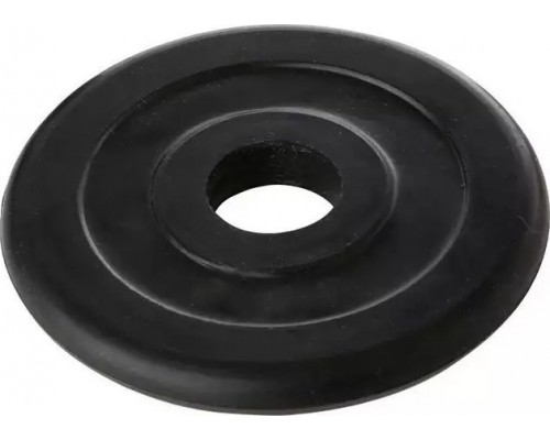 Tremblay Svara disks TREMBLAY D28mm 2kg gumija  