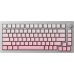 Akko M1W SP Pink&White