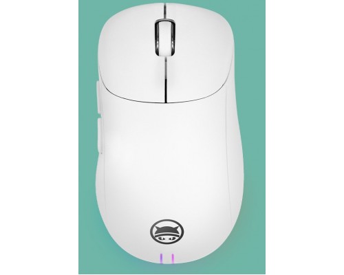 GAMIAC PA50