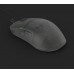 Endgame Gear OP1 8k v2 Gaming-Maus, 8.000Hz - Dark Frost