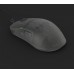 Endgame Gear OP1 8k v2 Gaming-Maus, 8.000Hz - Dark Frost