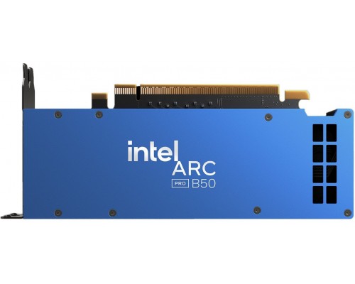 Intel Arc Pro B50 16GB GDDR6 (33P6PEB0BB)