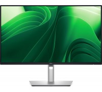 Dell Pro Plus P2425DE (210-BRDM/5Y)