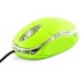 Esperanza Raptop (TM102G)