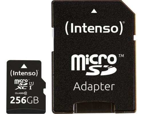 SD  Intenso Premium MicroSDHC 256 GB Class 10  (3423492)
