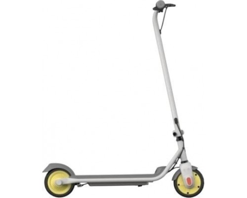 Segway Zing C10