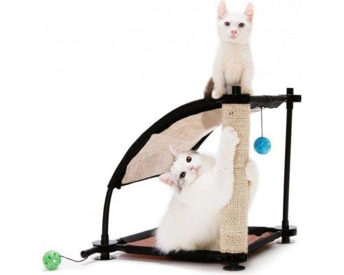 Kitty City HILL