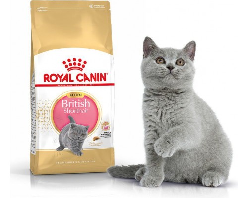 Royal Canin British Shorthair Kitten 0.4 kg