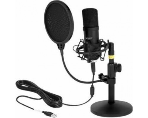 Delock Professional USB (66300)
