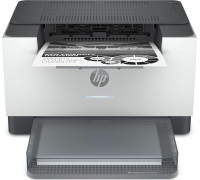 HP LaserJet Pro M209DW (6GW62F)
