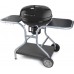 Fieldmann grate 54 cm (FZG 1014)