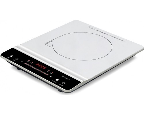 Optimum PW-1100