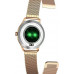 Maxcom Fit FW42 Gold (MAXCOMFW42GOLD)