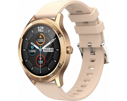 Maxcom Fit FW43 Cobalt 2 Beige (MAXCOMFW43COBALTGOLD)