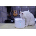 Petoneer Fresco Pro Water Fountain