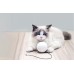 Homerunpet TB10 Smart play ball for dog/cat