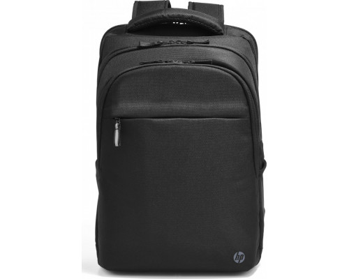 HP Professional 17.3" (500S6AA)