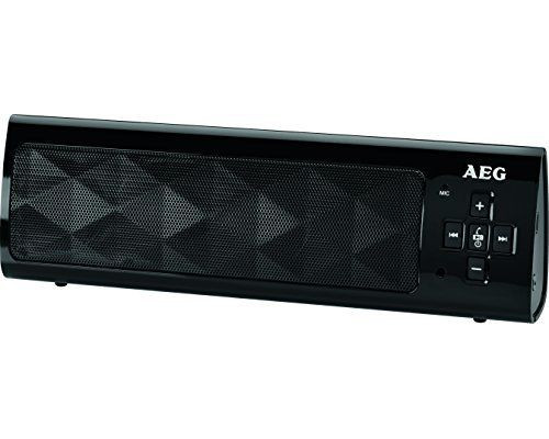 AEG BSS 4818 speaker