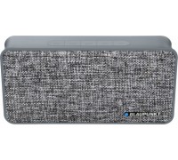 Blaupunkt BT13GY speaker