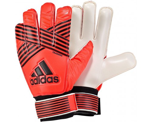 Adidas  ACE Training  r. 10 (BQ4576)