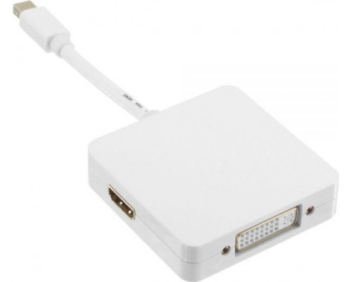 InLine DisplayPort mini - HDMI - DisplayPort - DVI-D 0.15m  (17195I)