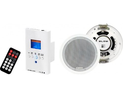 Blow Wall-mounted audio system NS-01 (30-300)