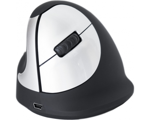 R-GO Tools R-Go HE (RGOHEWLL) mouse
