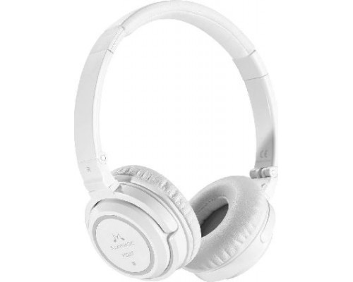 SoundMagic P22 BT headphones