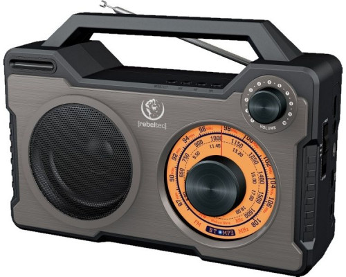 Rebeltec Rhodes speaker