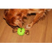 Suņu rotaļlieta Zolux Bone rubber ball 9.5 cm