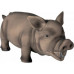 Suņu rotaļlieta Trixie PIG LATEX 17cm